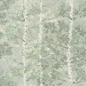 Rasch Silverwood Tree Green Metallic Wallpaper - 100203
