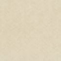 A flat swatch image of the 10589-02 beige texture pattern