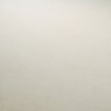 A flat swatch image of the 10589-14 cream texture pattern.