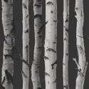 Fine Decor Distinctive Birch Tree Black/Silver Wallpaper - FD31052