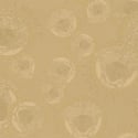 Versace Medusa Amplified Gold Wallpaper - 384611
