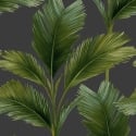 Belgravia Decor Kailani Palm Leaves Charcoal/Green Wallpaper - 59115