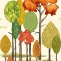 Ohpopsi Tall Trees Autumn Wallpaper - CEP50138W
