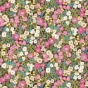 Ohpopsi Glasshouse Flora Ditsy Fuchsia/Jet Wallpaper - GHS50113W