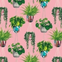 Ohpopsi Houseplant Bubblegum Wallpaper - GRA50109W