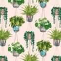 Ohpopsi Houseplant Ballet Slipper Wallpaper - GRA50110W