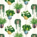 Ohpopsi Houseplant Parakeet Wallpaper - GRA50112W