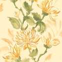 Ohpopsi Kiku Watercolour Flowers Sunrise Wallpaper - HAN50126W