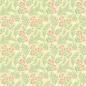 Hoopla Walls Petite Posy Apricot/Fern Wallpaper - HWA1188W