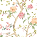 Hoopla Walls Bird Song Coral Mix Wallpaper - HWA1342W