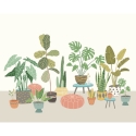 Origin Houseplant Pots Grey Wall Mural - MUR276
