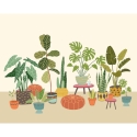 Origin Houseplant Pots Natural Wall Mural - MUR277