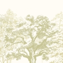 Origin Etched Trees Apple Green Wall Mural - MUR432