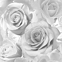 Muriva Madison Rose Floral Silver Glitter Wallpaper - 139520