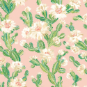 Ohpopsi Revive Cactus Bloom Coco Blush Wallpaper - REV50155W