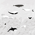 Studio Claas Whales and Waves Grey Wall Mural - 842531