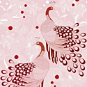 Studio Onszelf Proud Peacock Pink Wall Mural - 539141