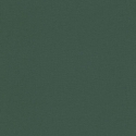 Galerie Welcome Home Rustic Texture Dark Green Wallpaper - WH30153