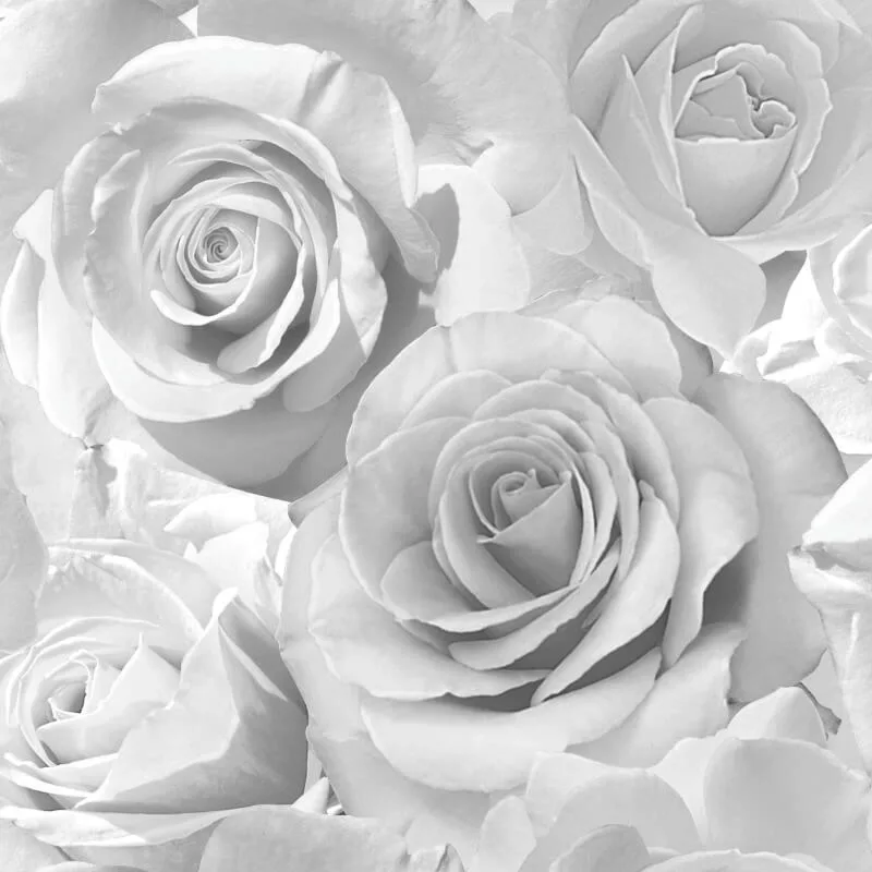 muriva rose wallpaper