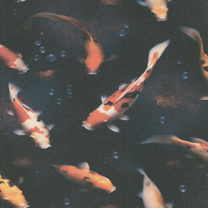 High-resolution flat swatch of Erismann Midnight Pond wallpaper showing the blue multi textured fish pattern.