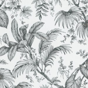 Galerie Olio Botanical Sketch White/Black Wallpaper - 82337
