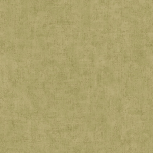 Grandeco Young Edition Plain Light Green Wallpaper - A51514