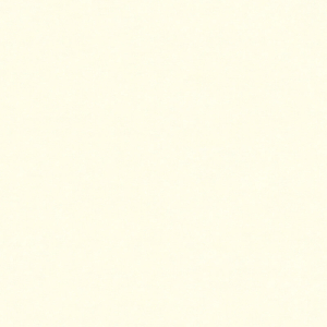 Galerie Plain Texture Light Cream Wallpaper - BW51032