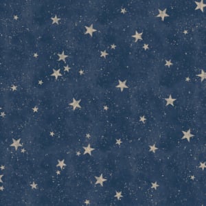 Crown Starlight Stars Navy/Gold Metallic Wallpaper - M1490
