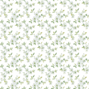 Galerie Anemone Mini Sage Green/White Wallpaper - G78483