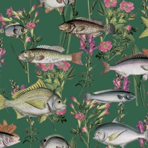 Holden Decor Lagoon Fish Green/Multi Wallpaper - 13060