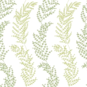 Ohpopsi Mimosa Trail Olive Wallpaper - JRD50111W