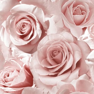 Muriva Madison Rose Floral Raspberry Glitter Wallpaper - 139521
