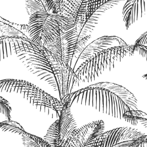 Rasch Pandore Palm Leaves White/Black Wallpaper - 406801