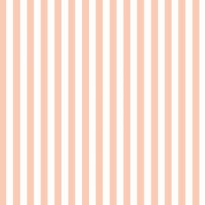 Ohpopsi Bloc Stripe Peach Puff Wallpaper - STR50114W