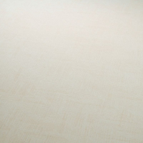 A flat swatch image of the 10589-14 cream texture pattern.