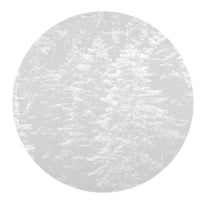 Erismann Guido Maria Hazy Pines Grey Wall Mural - 2553N71