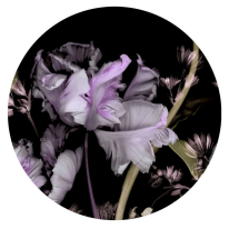 Erismann Guido Maria Tiao Hua Violet Wall Mural - 2555N71