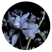 Erismann Guido Maria Tiao Hua Blue Wall Mural - 2555N72