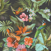 Rasch Paradise Birds Black Multi Wallpaper - 539059
