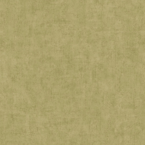 Grandeco Young Edition Plain Light Green Wallpaper - A51514