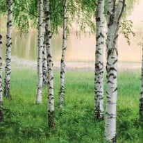 Anaglypta Wall-art Nordic Forest Wall Mural - 5424-8