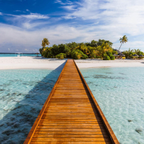 Anaglypta Wall-art Way to Paradise Wall Mural - 5432-8