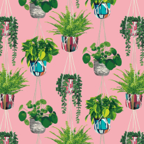 Ohpopsi Houseplant Bubblegum Wallpaper - GRA50109W