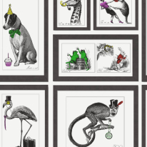 Holden Decor Mad Dogs Framed Multi Wallpaper - 97921