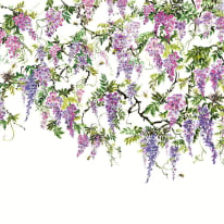 Ohpopsi Trailing Wisteria Amethyst Wall Mural - ICN50110M