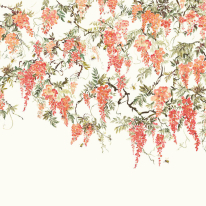 Ohpopsi Trailing Wisteria Peach Wall Mural - ICN50112M