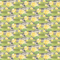 Ohpopsi Ichika Waterlily Charcoal/Mustard Wallpaper - IKA50105W