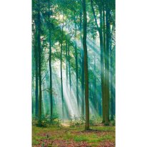 Grandeco Young Edition Photographic Trees Green Wall Mural - ML6301