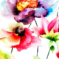 Origin Watercolour Flora Multi Bright Wall Mural - MUR134
