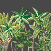 Origin Tropical Palm Trees Black Wall Mural - MUR202